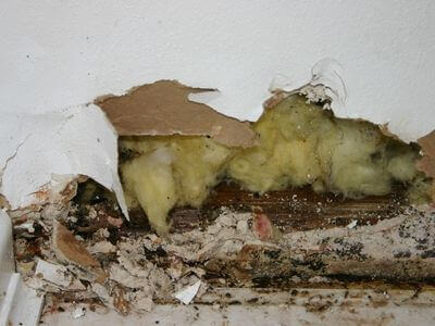 About Marks Mitigation - water damage restoration experts in Dallas